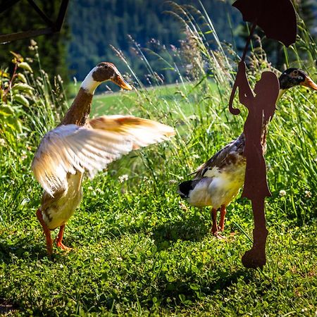 Vila Gschwandtgut Urlaub Am Bauernhof Schwemmberg Exteriér fotografie