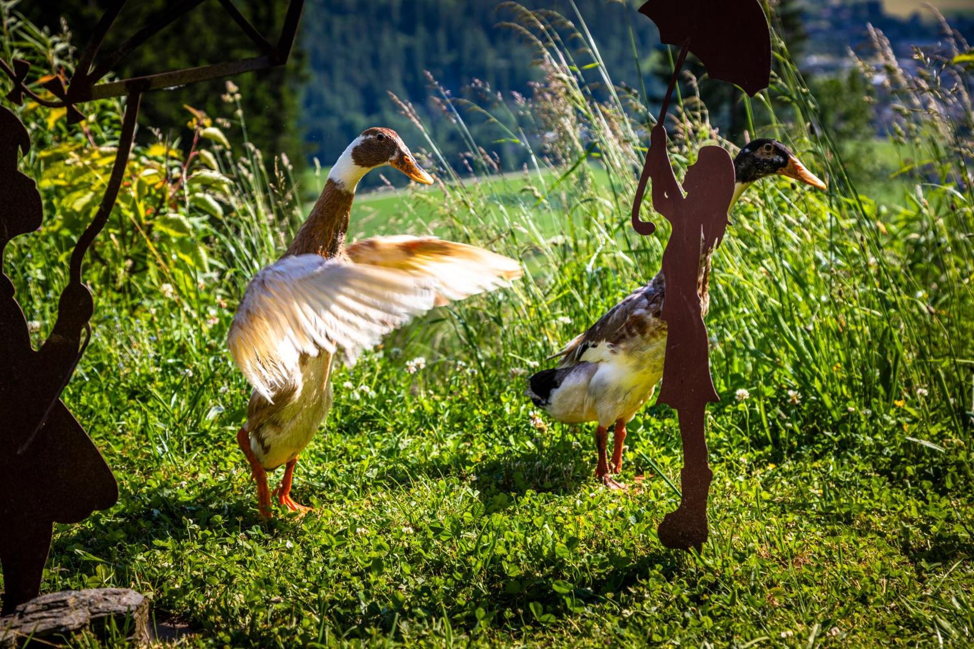 Vila Gschwandtgut Urlaub Am Bauernhof Schwemmberg Exteriér fotografie