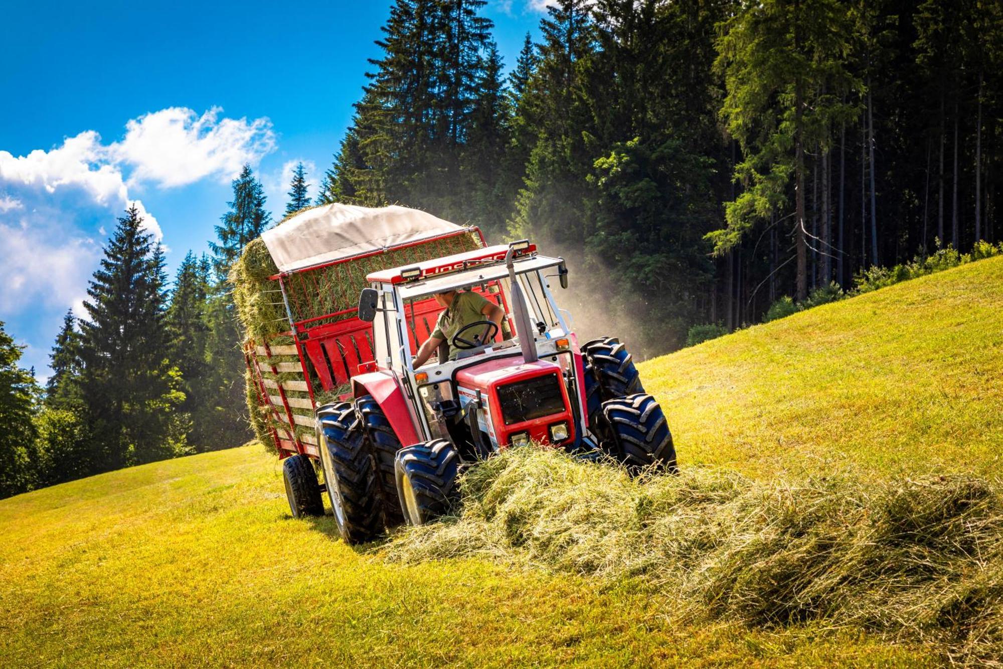 Vila Gschwandtgut Urlaub Am Bauernhof Schwemmberg Exteriér fotografie